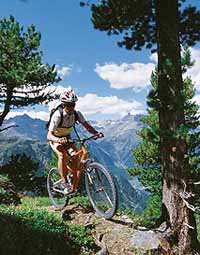 Mountain bike